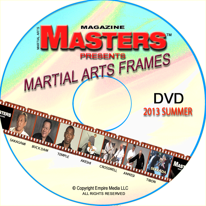2013 dvd frames video